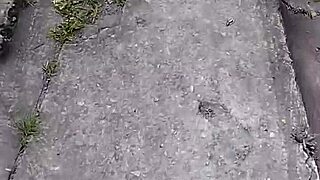 Brazilian Couple Flashes Ebony Tits And Ass In Public Forest For Cash