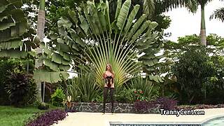 Shemale Beauty Gangbanged Hard