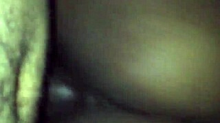 i ride that monster bbc cowgirl on my fat bbw ass