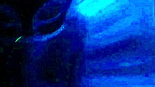 New Year Celebration