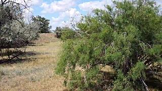 Hey shy aboriginal milf in costume, wanna dance outdoors and tease me more?