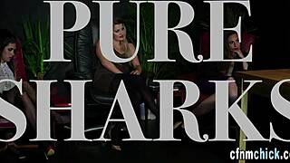 Feel The British Mistress Jerking Your Cock In Stockings Humiliation