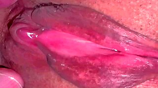 amateur asian wife 237 days post virginity licks shaved pussy closeup