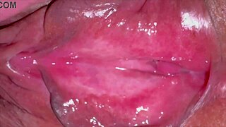 amateur asian wife 237 days post virginity licks shaved pussy closeup