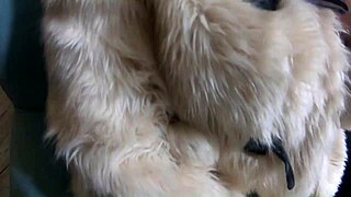 Blowjob Fetish Compilation Of Housewives In Sexy Clothes