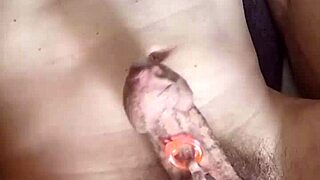食物