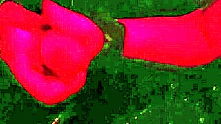 Heart Pounding As Wife Tries Another Huge COCK At Glory Hole Party