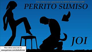 Ready to Crawl as My Personal Pet Dog with Spanish Femdom JOI?