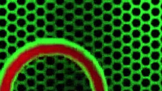 how does nikki benz finger her huge pussy lips in the jacuzzi shower anyway?