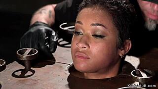 Ebony Sub's Small Tits Bounce as She's Fingered Bound in Device