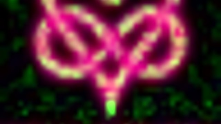 Lucky Public Bus Ride Turns Into Cute Blonde's Secret Suck And Swallow Full Video