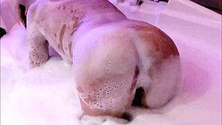 Watch my curvy latina milf wife flash her huge hairy tits ass pussy in lingerie moaning homemade voyeur orgasm solo