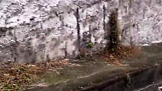 Why is this sexy street babe with pink pussy climbing the hill desperate for outdoor public wetting?