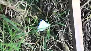 damn we fucked hard in the bushes after i called him over!