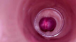 internal camera shows deep creampie insemination close up