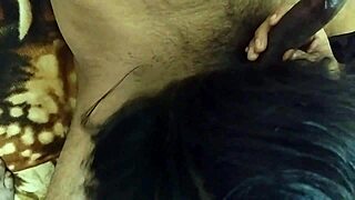desi bhabhi moans through intense fucking and sucking