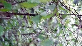 we fuck hard in forest hiding our lesbian pussy licking
