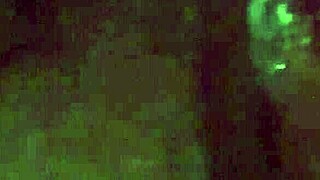 What hides in her hot wet Latina creamy pussy play?