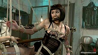 ready to see this dyke get caned hard, ass plugged deep then fucked rough?