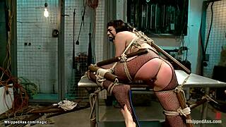 ready to see this dyke get caned hard, ass plugged deep then fucked rough?