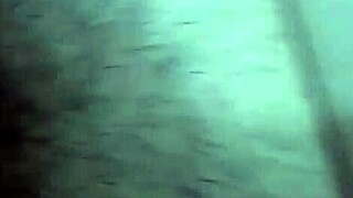 ever fucked a tight pussy like my ex girlfriend's before?