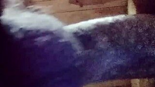 discover curvy tattooed latina mature fat ass close up homemade sexy tease