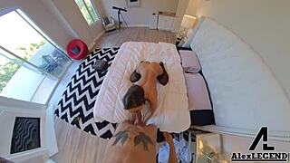 Abigail Mac strips and gets intensely fucked by Alex Legend in doggystyle.