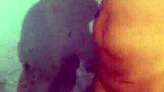 bbc brutally fucks bent over latina neighbor wife doggystyle