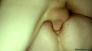 imagine shemale dommes pounding men's asses relentlessly in kinky sessions