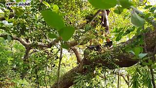 whoa living with adam and eve in anal paradise, bbw slut takes intense brazilian cock pounding 🍑💦
