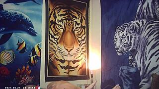 maxxx loadz hammers asian pussy during raw porn shoot backstage