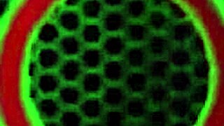 Latina BBW Gabby Quinteros Teases Her Huge Clit and Wet Pussy Lips