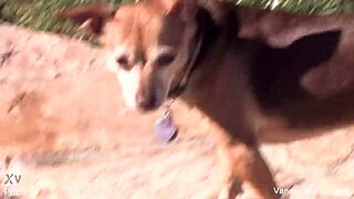 vanessa cage bares her teen pussy and tits backstage in the cage!