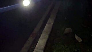 I got caught fucking this hot stranger right out on the street