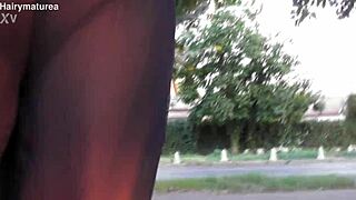 Hairy mature beaver flashes chubby pussy see-through outdoors