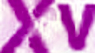 fucking the hayek sisters with brutal anal destruction 😈🍑💥