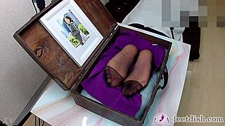 Lilly Secretary's Sexy Feet in Dish Box Volume 2
