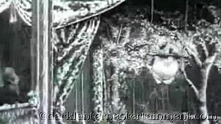 Victorian gentleman's secret erotic confessions: vintage swingers exposed.