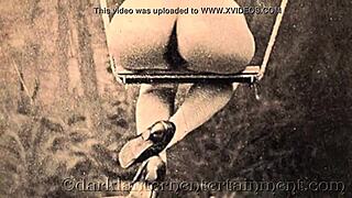Victorian gentleman's secret erotic confessions: vintage swingers exposed.