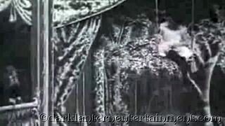Victorian gentleman's secret erotic confessions: vintage swingers exposed.