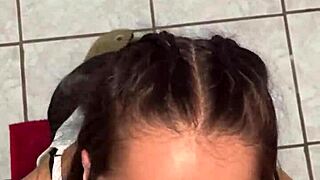 Amateurs couple with cute brunette deepthroats veiny big cock from Wellington Prado