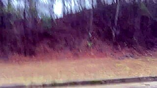 voyeur catches wild outdoor clit licking frenzy in forest