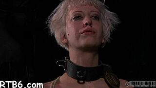Lusty Hottie Bound in Collar Licks Balls and Sucks Cock in BDSM Game Contest