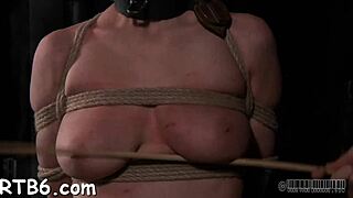 Lusty Hottie Bound in Collar Licks Balls and Sucks Cock in BDSM Game Contest