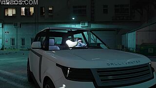 GTA 5 Hooker Provides Intense Car Sex Service