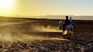 blonde flower teases riding african beach softly