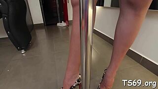 Shemale Teases Her Swollen Knob