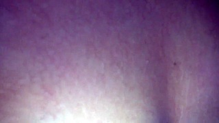 bbc bull rims my ass then fucks me amazon style reverse missionary as femdom slut.
