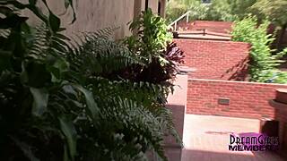 brooklyn's wild public flashing shaved pussy upskirt tampa florida