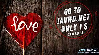 Still Warm Hairy Pussies Fresh from Japan in Stunning Compilation Vol 64